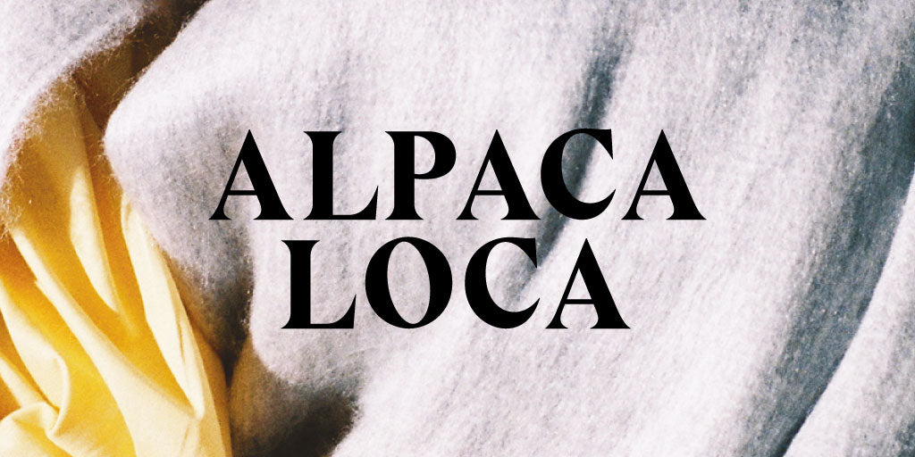 Alpaca Loca